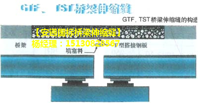 TST無縫橋梁伸縮縫介紹 良品GTF橋梁伸縮縫3